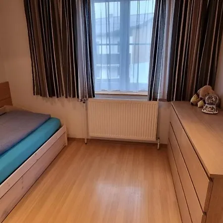 Roko's & Apartment Faistenau